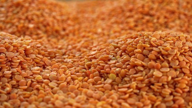 Portion of Red Lentils (seamless loopable 4K UHD footage)