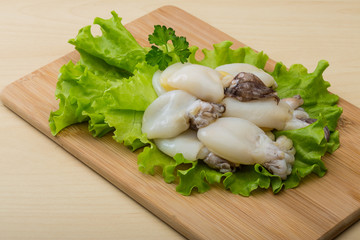 Raw cuttlefish