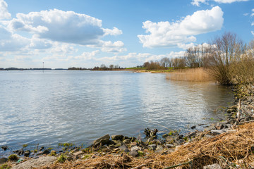 On the banks of a wide river