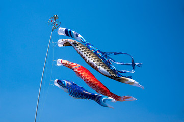 元気に泳ぐ鯉のぼり