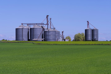 Fototapeta na wymiar Grain bins with a crop field in front