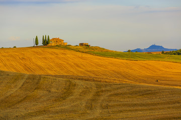 Obraz premium Tuscany, Italy - San Quirico d'Orcia