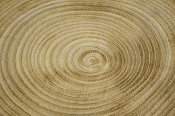 Fototapeta na wymiar Wooden background of annual rings, close up