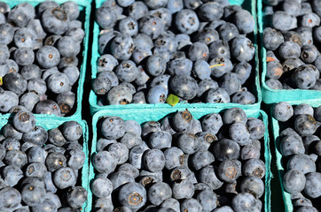 Berry Sales