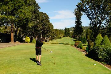Fototapeta premium Go Golfing