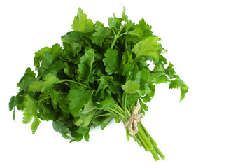 Obraz premium fresh parsley isolated on white