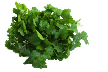 Obraz premium fresh parsley isolated on white