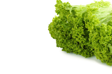 fresh lettuce isolated on white