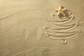 Fototapeta na wymiar Christmass tree from shells on sand background