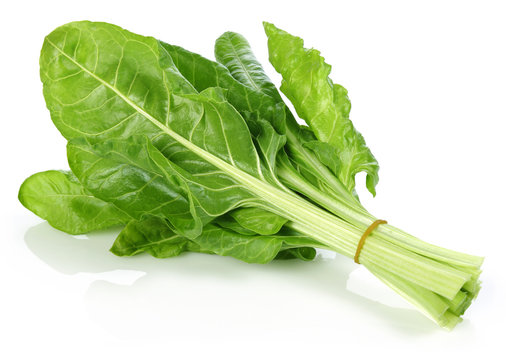 Chard