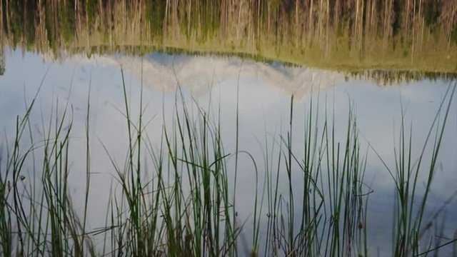 Panning medium shot of mountains reflected in calm lake / Redfish Lake, Idaho, United States