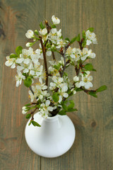 branches of cherry blossoms in a vase on a wooden background