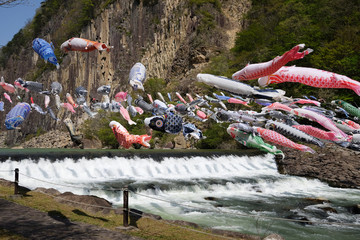 鯉のぼり