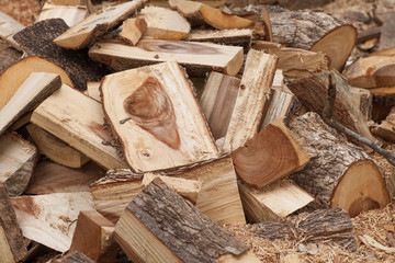 Wood shavings