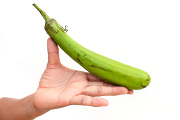 eggplant