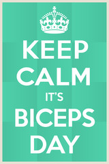 Biceps day