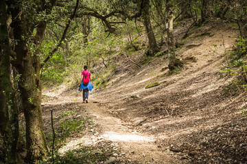 Naklejka premium Passeggiare nel bosco