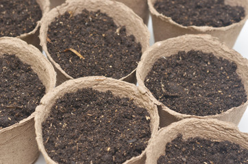peat pots