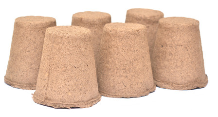 peat pots