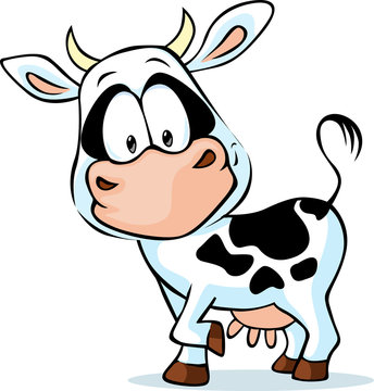 black and white young cow - vector illustration