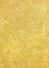 Fototapeta premium golden luxury background with flowers