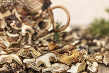 Getrocknete Waldpilze