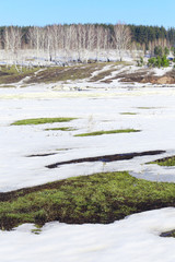frozen river near the forest