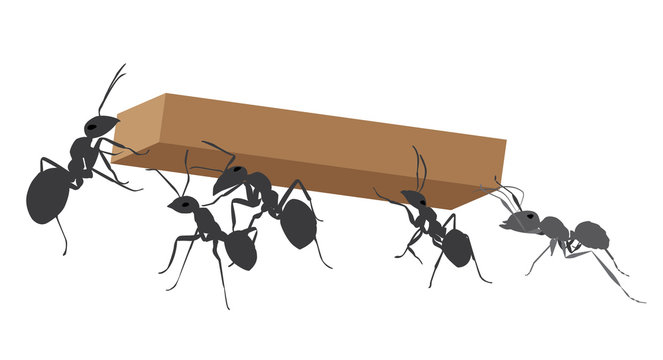 Working Ants