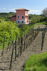Fototapeta na wymiar Rural house with a small vineyard