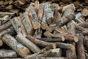 LEGNO TAGLIATO PER IL FUOCO - ALBERO