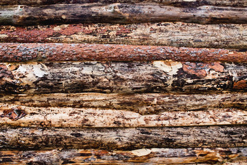 background fence from raw pine planks