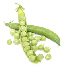 fresh green pea
