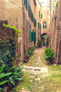 Fototapeta Ukryte uliczki starożytnego miasta Siena, Włochy