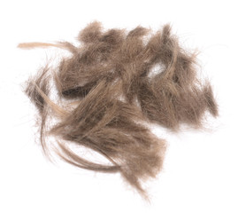 hair