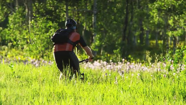 MS PAN Rear view of man with artificial limb riding mountain bike through meadow / American Fork Canyon, Utah, USA