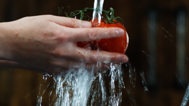 hands washing tomatoes