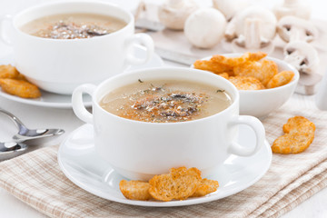 mushroom soup puree with croutons, selective focus