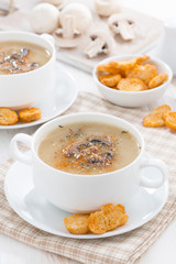 mushroom soup puree with croutons, vertical