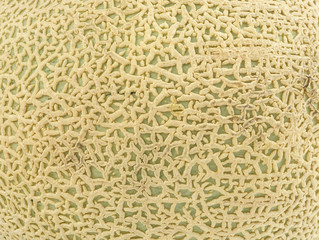 Melon peel texture