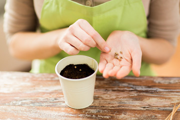 close up of woman sowing seeds to soil in pot