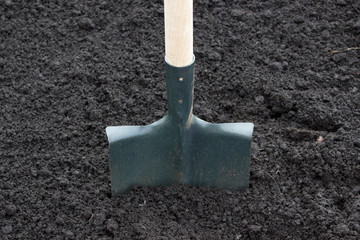Shovel on field, digging hole with spade in field