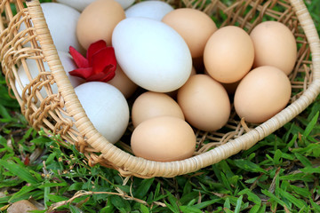 Vintage easter eggs and white eggs