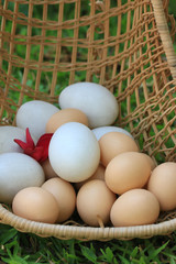 Vintage easter eggs and white eggs