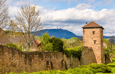 Fototapeta premium Medieval fortifications of Bergheim - Haut-Rhin, France