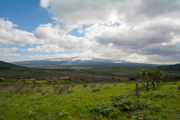 Mount Etna with meadows in forground, Sicily,Italy