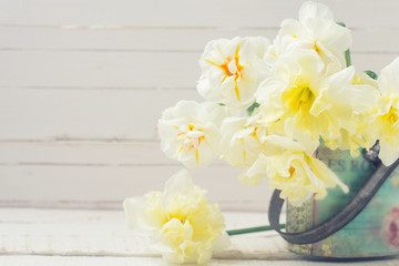 Background with fresh narcissus in bucket