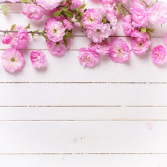 Naklejka na ściany i meble Postcard with fresh flowers