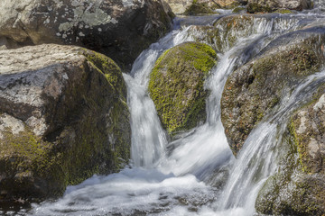 Fototapeta premium Misty Woodland Waterfall