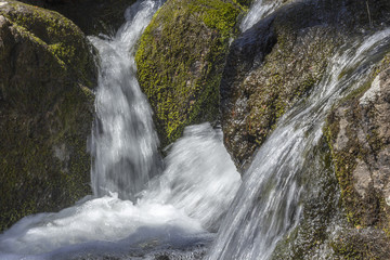 Fototapeta premium Misty Woodland Waterfall