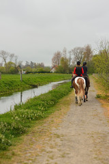 balade à cheval © Image'in